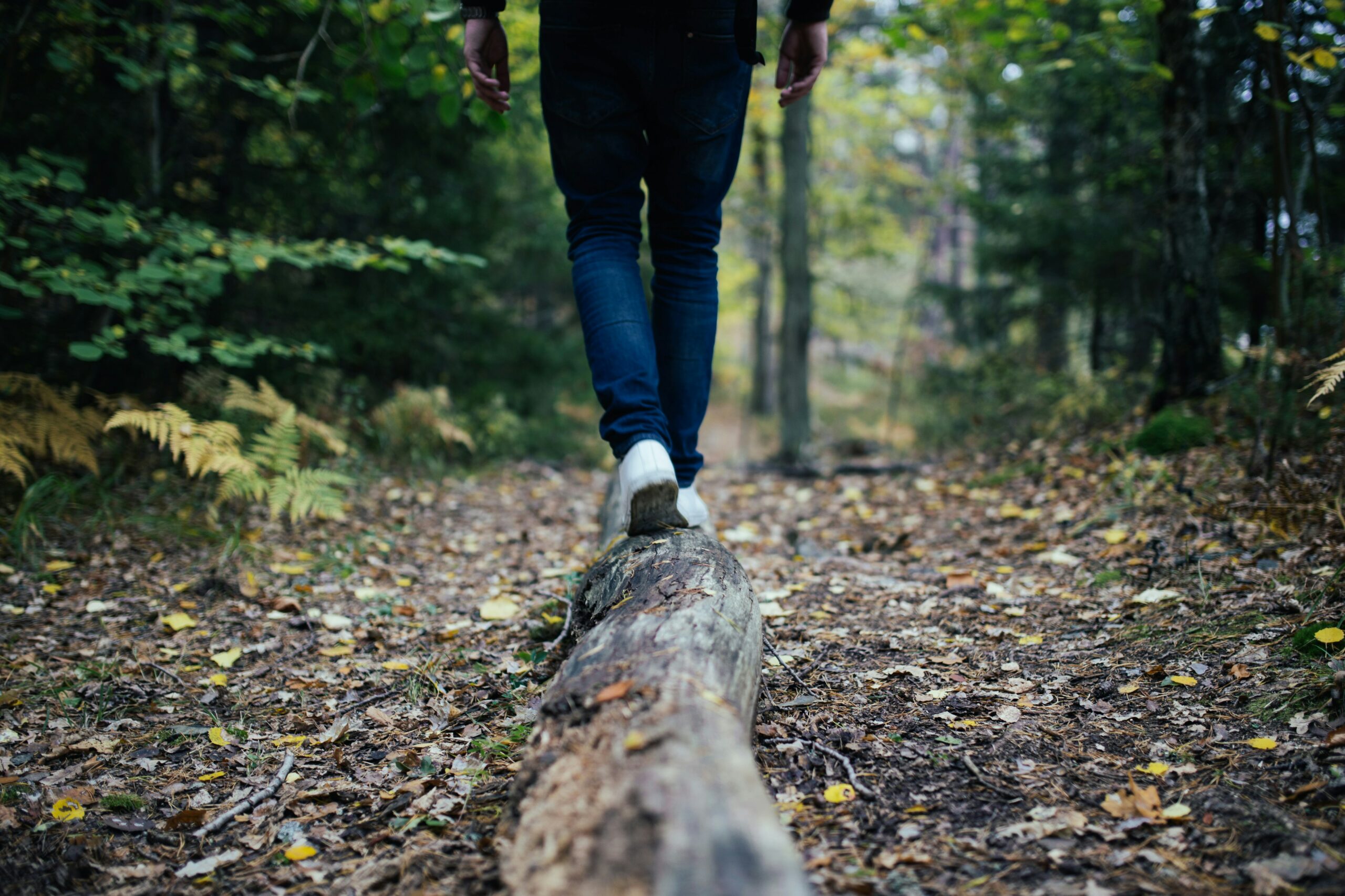 Le Coaching au vert chez Osélience avec une personne marchant sur un arbre dans la foret