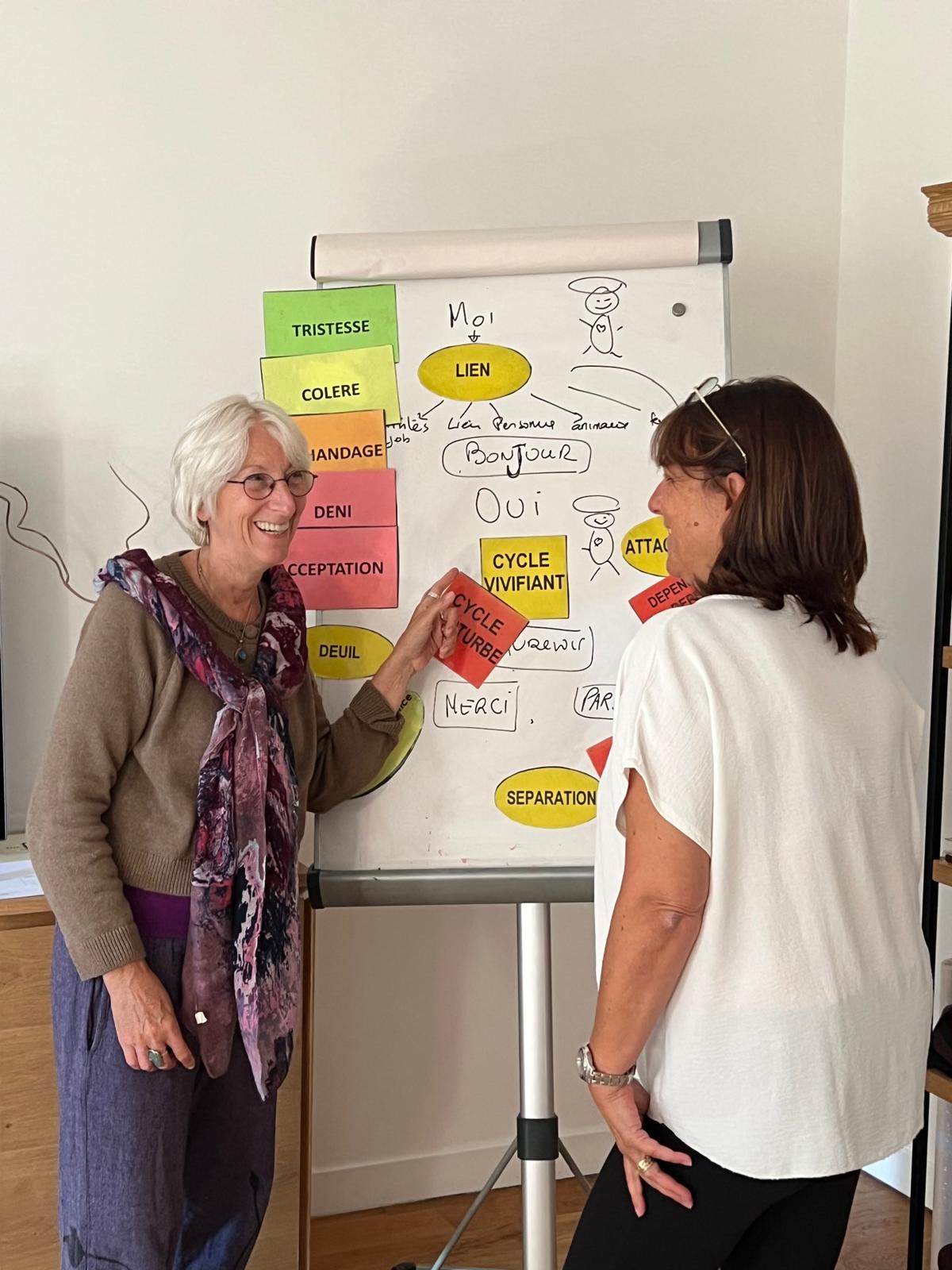 Séance de coaching Osélience en salle, avec travail autour des émotions et du cycle vivifiant sur support pédagogique.